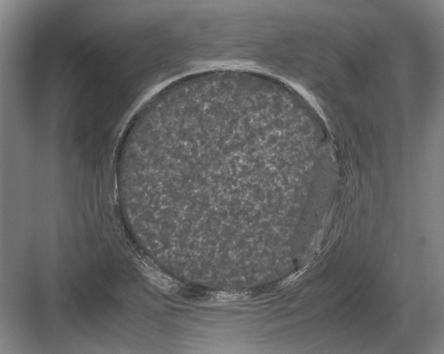 X0000082201271200702170009