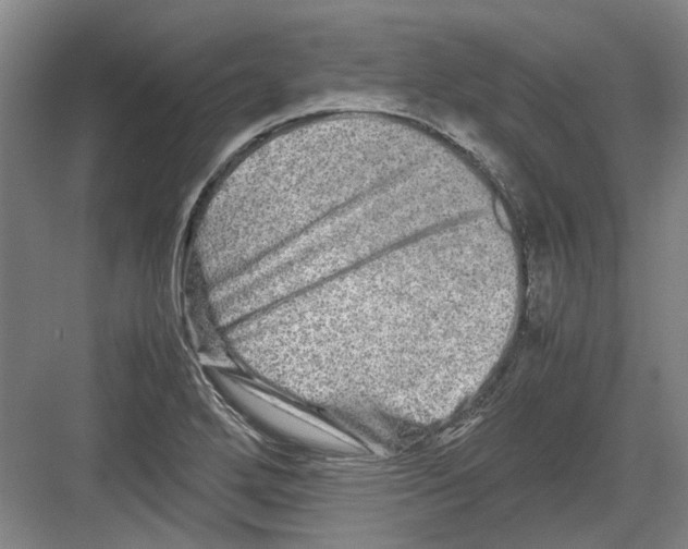 X0000082201272200702170009