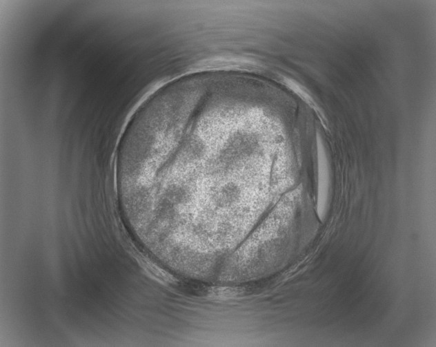 X0000082201275200702170009