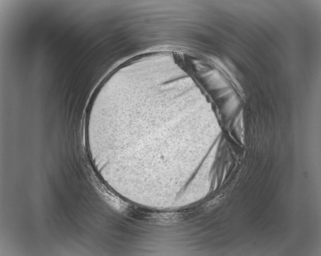 X0000082201276200702170009