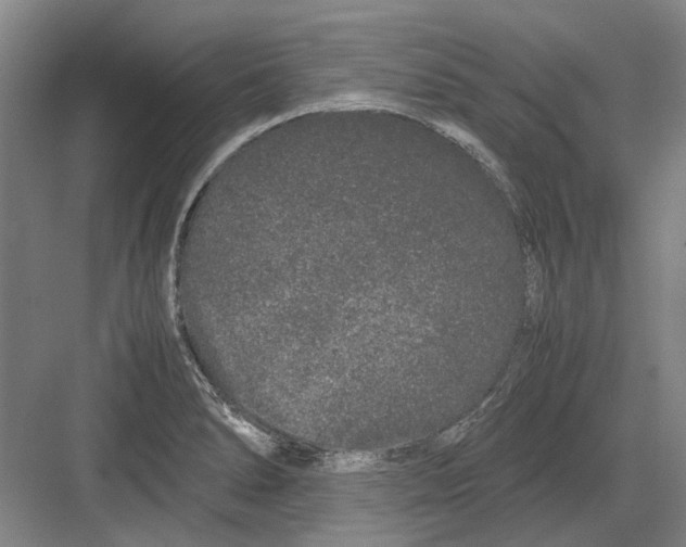 X0000082201278200702170009