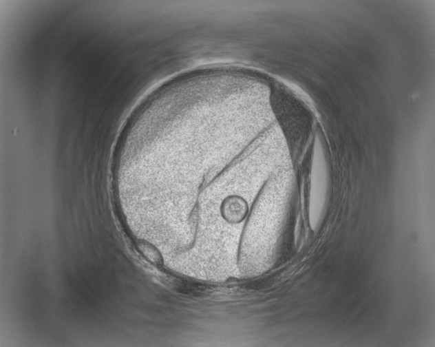 X0000082201279200702170009