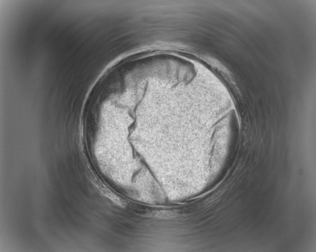 X0000082201280200702170009