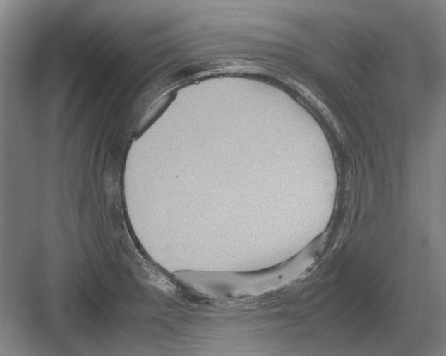 X0000082201281200702170009