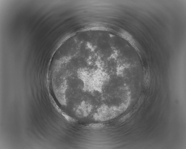 X0000082201282200702170009