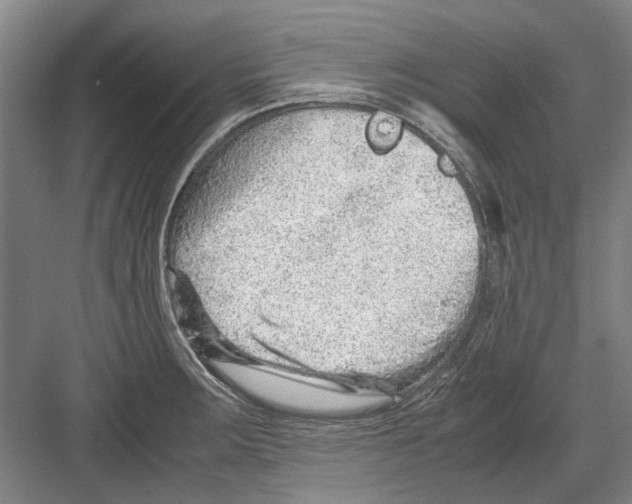 X0000082201283200702170009