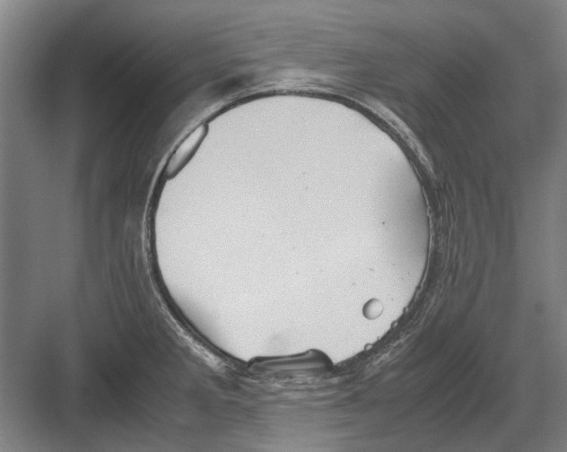 X0000082201285200702170009