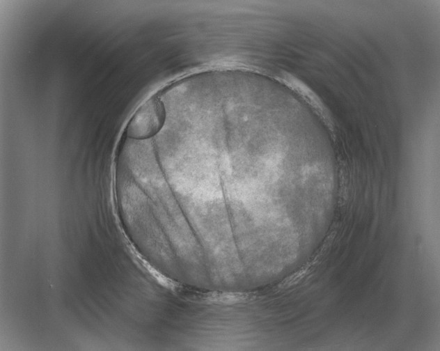 X0000082201286200702170009