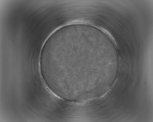 X0000082201288200702170009