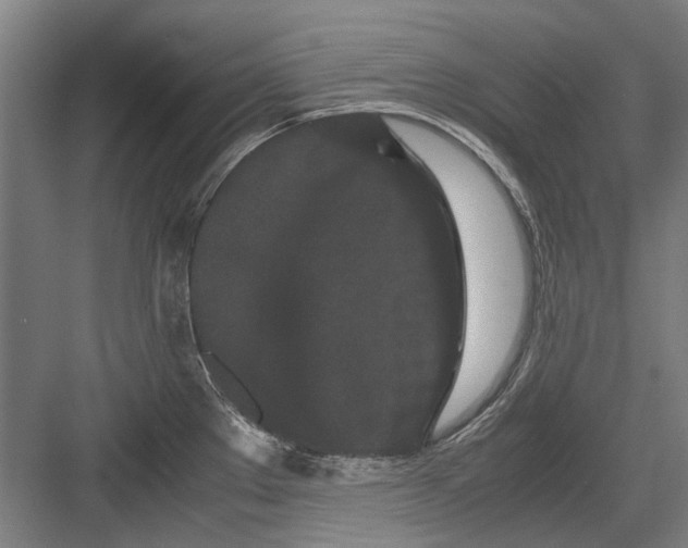 X0000082201289200702170008