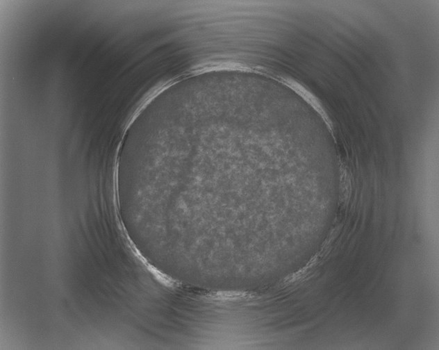 X0000082201290200702170008