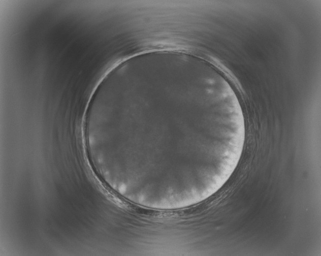 X0000082201291200702170008