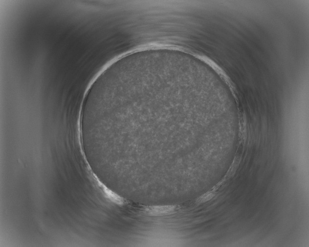 X0000082201294200702170008