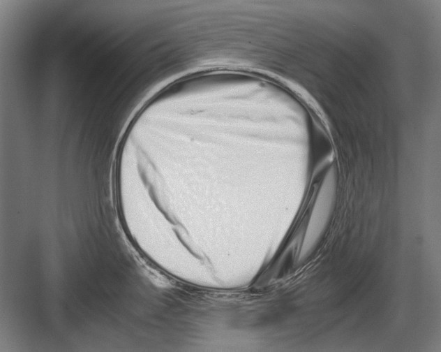 X0000082201295200702170008