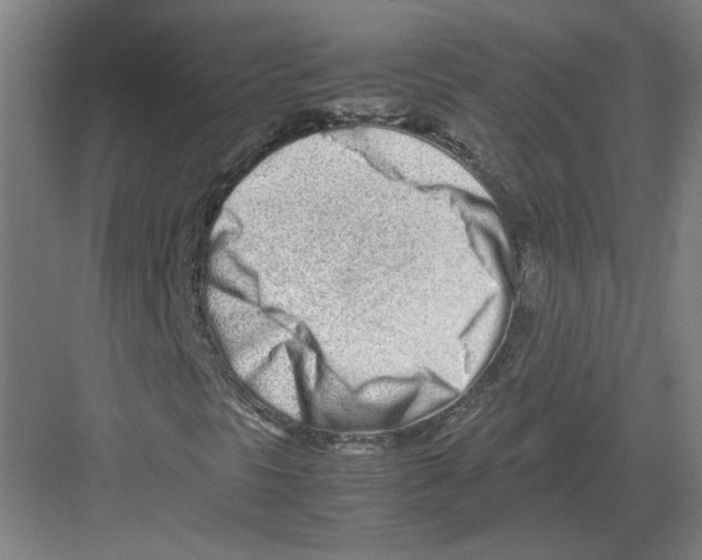 X0000082201297200702170008