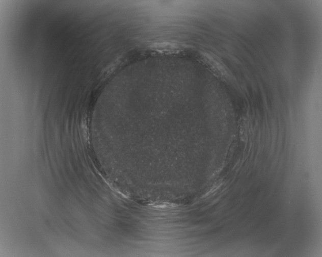 X0000082201298200702170008