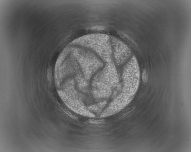 X0000082201299200702170008