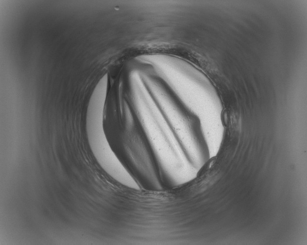 X0000082201300200702170008