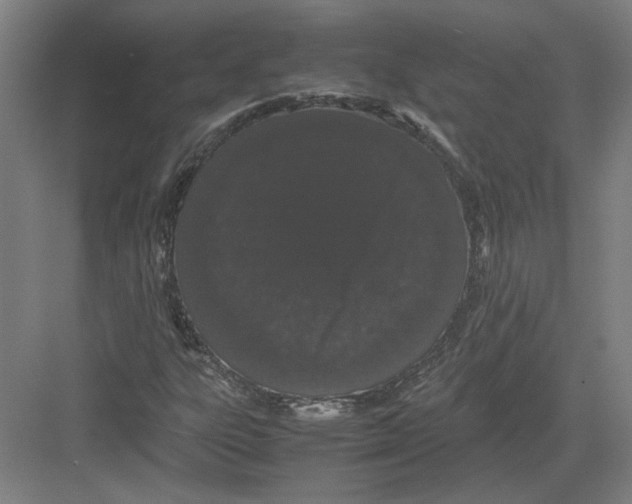 X0000082201303200702170008