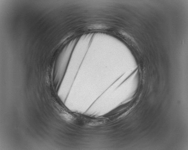 X0000082201305200702170008