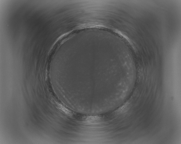 X0000082201306200702170008