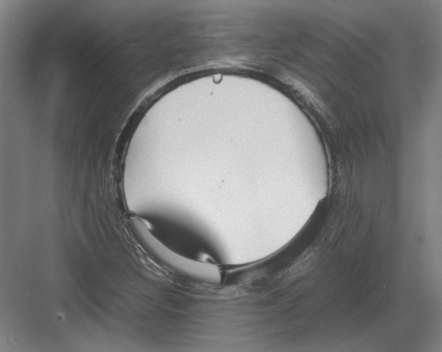 X0000082201308200702170008