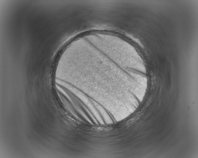 X0000082201311200702170008