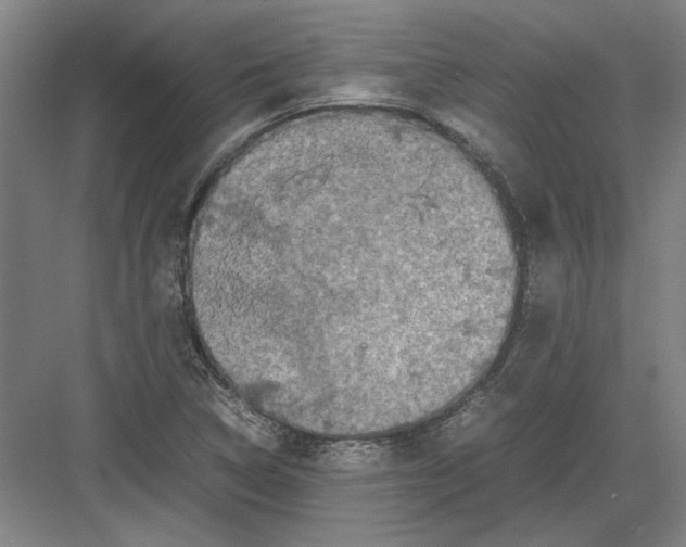 X0000082201314200702170008