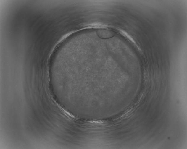 X0000082201315200702170008