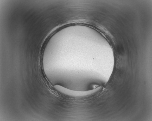 X0000082201316200702170008