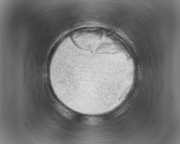 X0000082201318200702170008