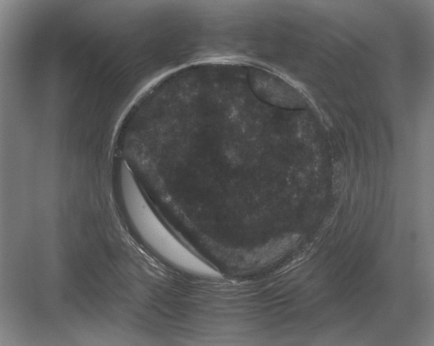 X0000082201319200702170008