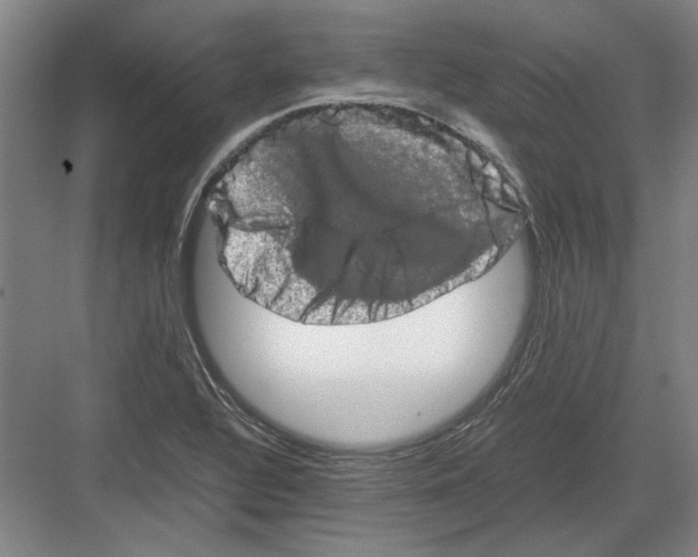 X0000082201320200702170008