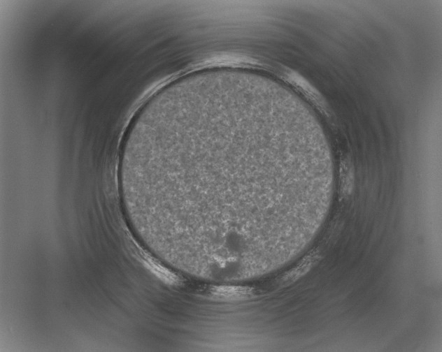 X0000082201322200702170008