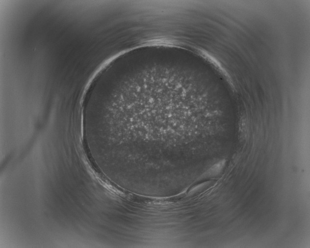 X0000082201323200702170008