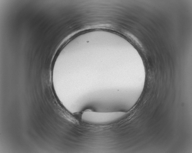 X0000082201324200702170008