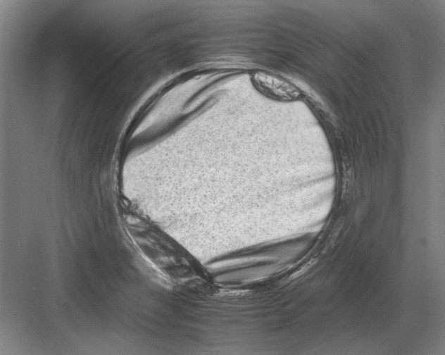 X0000082201325200702170008