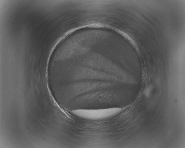 X0000082201327200702170008