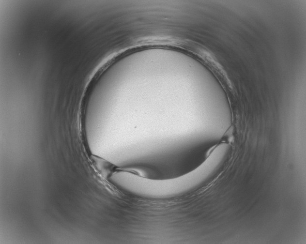 X0000082201328200702170008