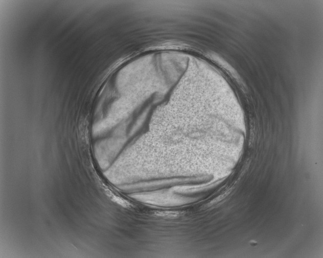 X0000082201329200702170008