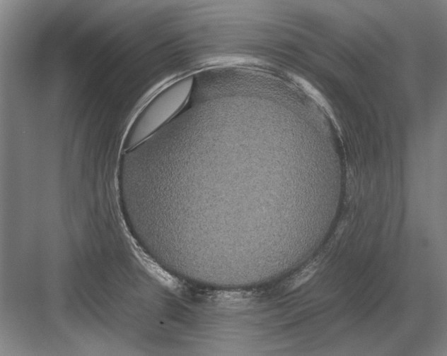 X0000082201330200702170008