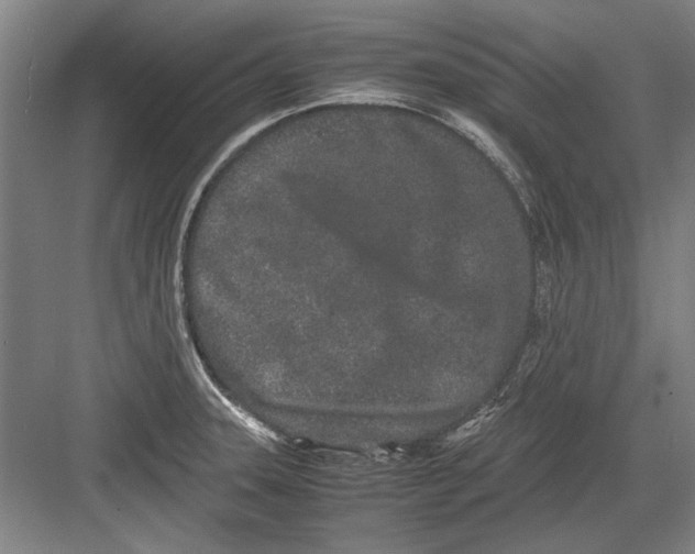 X0000082201331200702170008