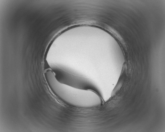 X0000082201332200702170008