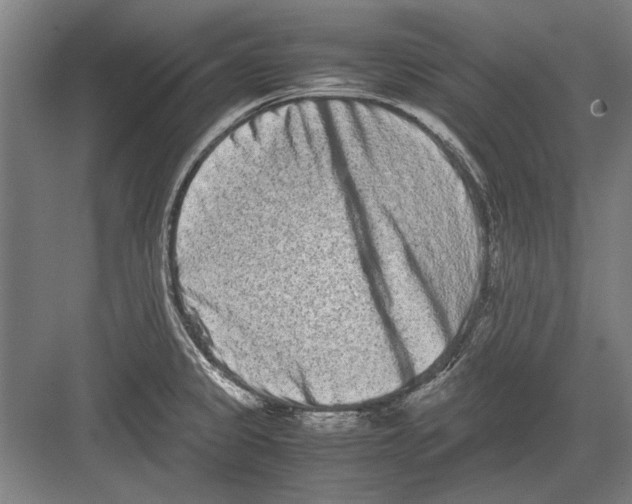 X0000082201333200702170008