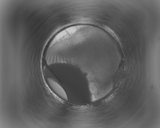 X0000082201334200702170008