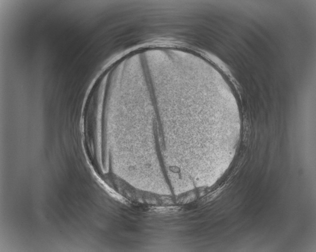 X0000082201335200702170008