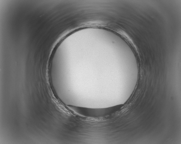 X0000082201336200702170008