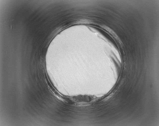 X0000082201337200702170008