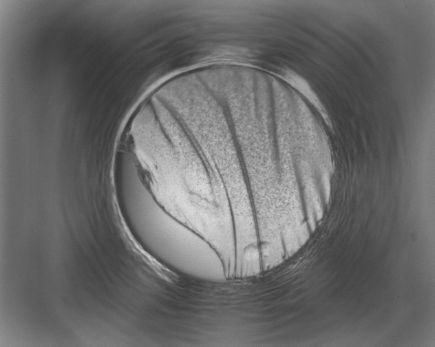 X0000082201339200702170008