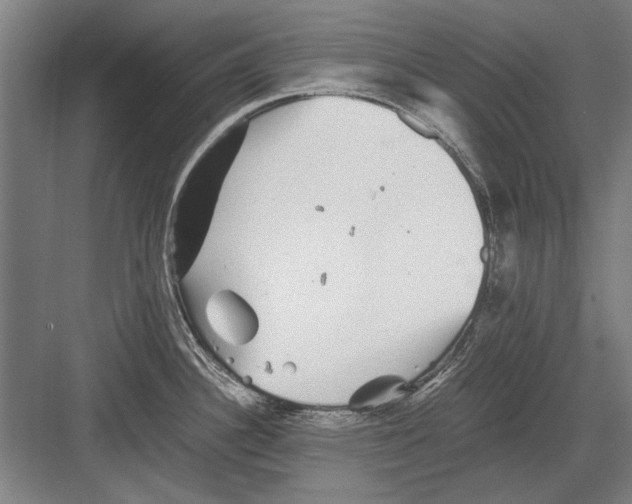 X0000082201340200702170008